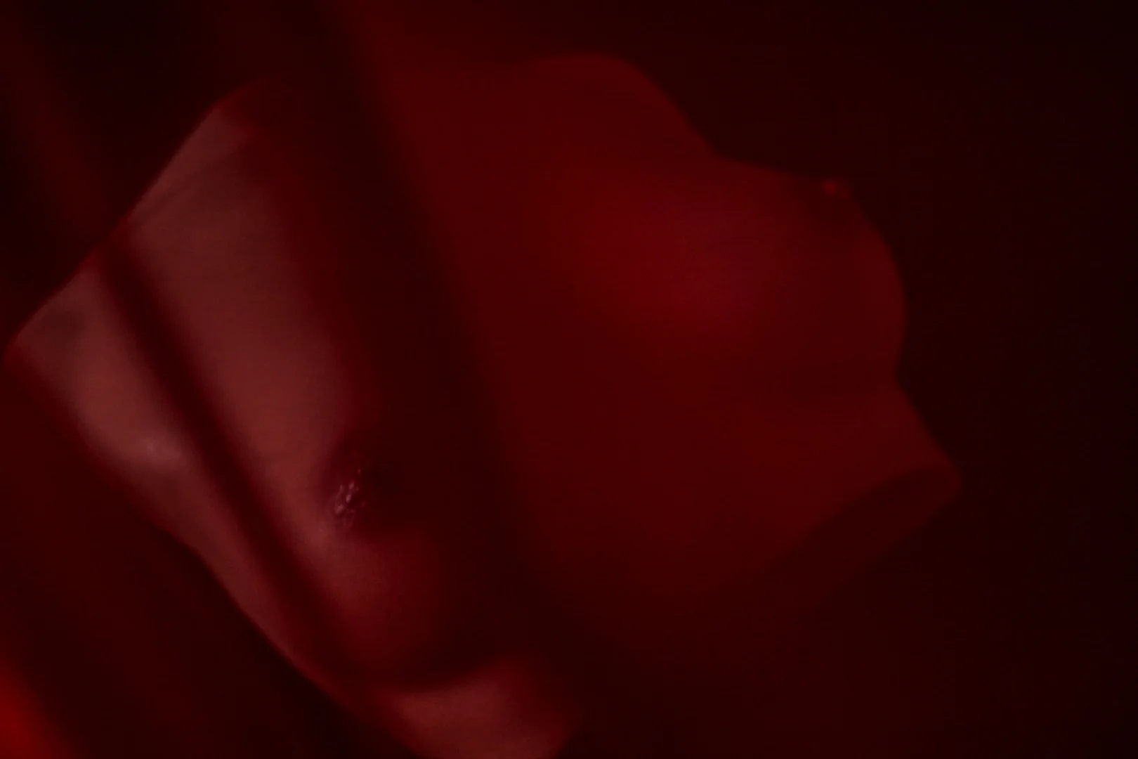 Chest (S) Torso Sex doll (Climax Doll Pro B-cup silicone) - Image 13