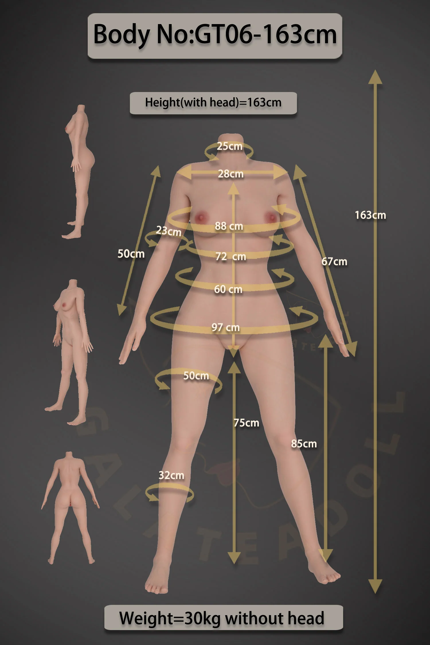 Fiona Sex doll (Galatea Doll 163cm D-cup #163 silicone) - Image 29